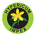 Hypericum Plant