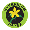 Hypericum Plant