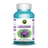 Capsule Lucerna