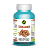 Capsule Topinambur