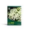 Ceai Soc vrac