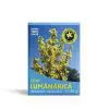 Ceai Lumanarica vrac