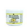 Gel cu Arnica, Untul Pamantului si Arginina 250ml