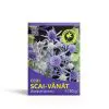 Ceai Scai Vanat vrac