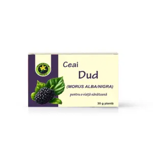 Ceai Dud vrac
