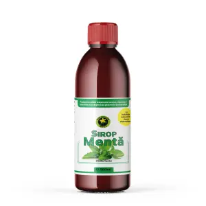 Sirop Menta 500 ml