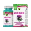 Capsule Armurariu