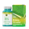 Capsule Branca Ursului