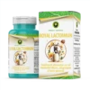 Capsule Royal LactoImun